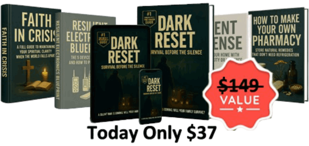 Dark Reset: Survival Before the Silence